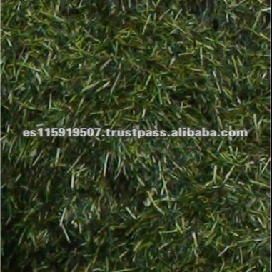 
Alfalfa and Corn Silage 