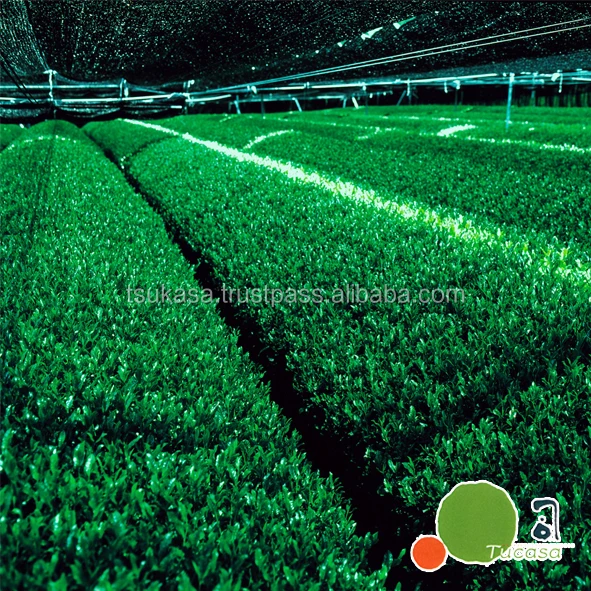 Organic JAS certified Japanese Matcha with variety OEM packaging