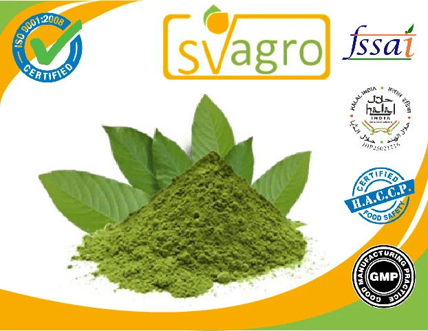 Banaba extract 1% Corosolic Acid  Crape Myrtle Crepe Myrtle Extrait de Banaba Lagerstroemia flos reginae