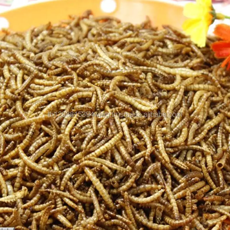 GOOD Quality Dried Grade 1 Mealworm (Tenebrio Molitor)