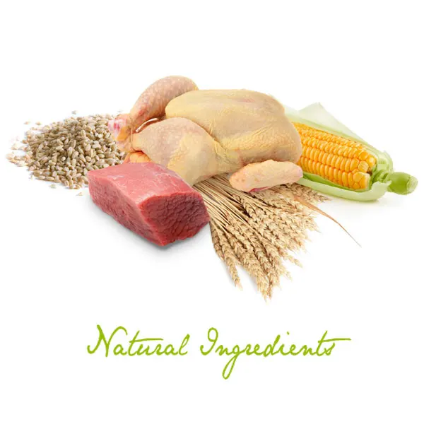 
Dry dog premium food Avantis Pet Gourmet with pork, chicken and lamb 