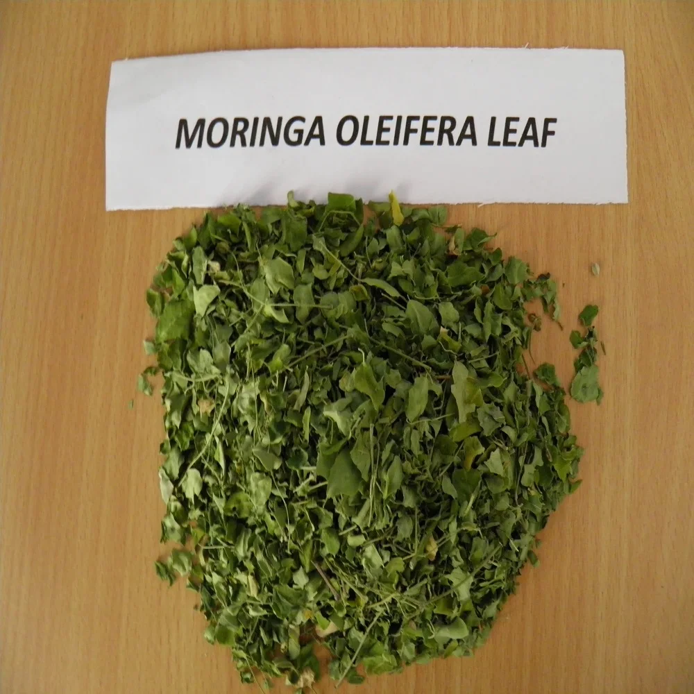 Natural Moringa powder from India  - Whatsapp :+91 73580 94554