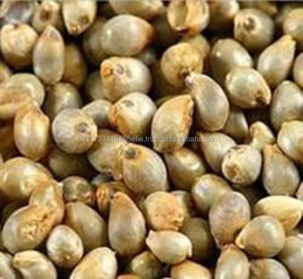 Millets (Human Consumption)