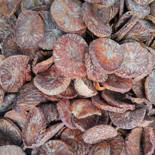BETEL NUT/ DRIED BETEL NUT/ ARECA NUT FROM LATEST DROP Whatsapp +84 396986490 (MS ANNIE)