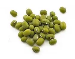 WHOLE SALE HIGH QUALITY GREEN MUNG BEANS 2021 +84 845 639 639