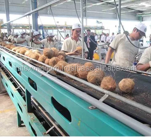 
 Вьетнамский импортер кокоса, дешевая цена/высушенные кокосовые торты (WHATSAPP: 0084 164 9078 009)  