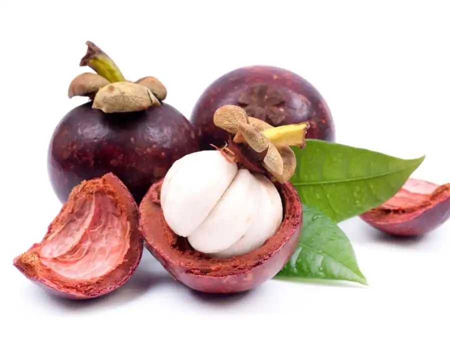 FRESH MANGOSTEEN FRUIT SALE WITH HIGH QUALITY AND BEST PRICE 2021