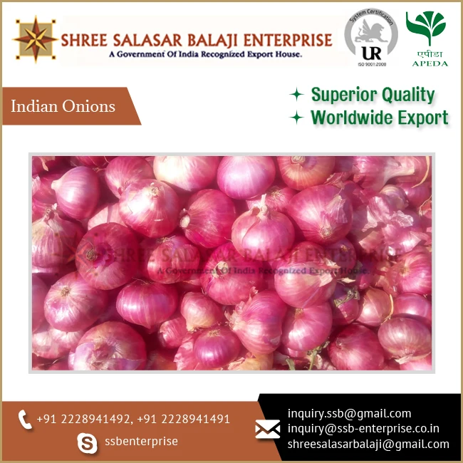 Premium Quality Bulk Selling Export Fresh Red Indian