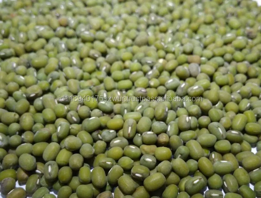 Unpolished Green Mung Bean Indonesia