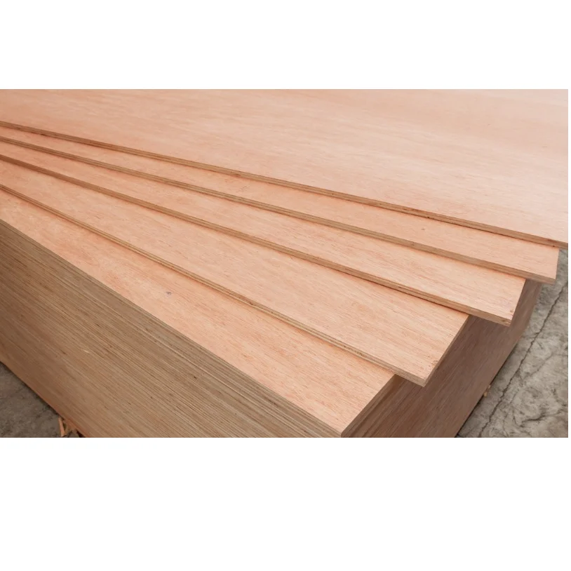Hot Selling- Wholesale Bintangor Plywood plywood 3/4 price Vietnam- Cheap price commercial plywood