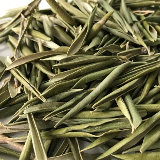 
Olive leaves Moroccan 