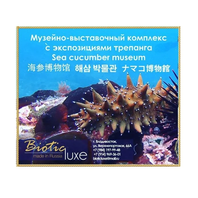 
Sea Cucumber Museum Vladivostok Russia 