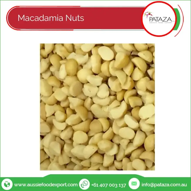 Raw Macadamia Nuts - Grown In Australia - Natural Healthy Snack and Nut -  Pure Provenance Products