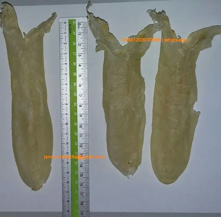 dried sea bass fish maw with high quality