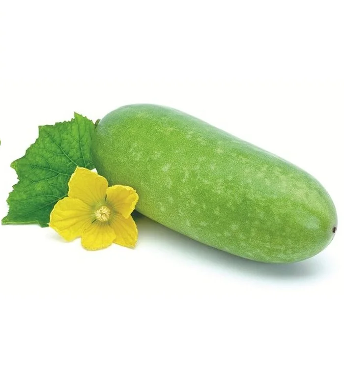 Зимняя Дыня из Вьетнама 2020