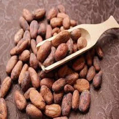 Organic Cocoa (Cacao) Beans/Nibs/Butter/Liquor/Powder