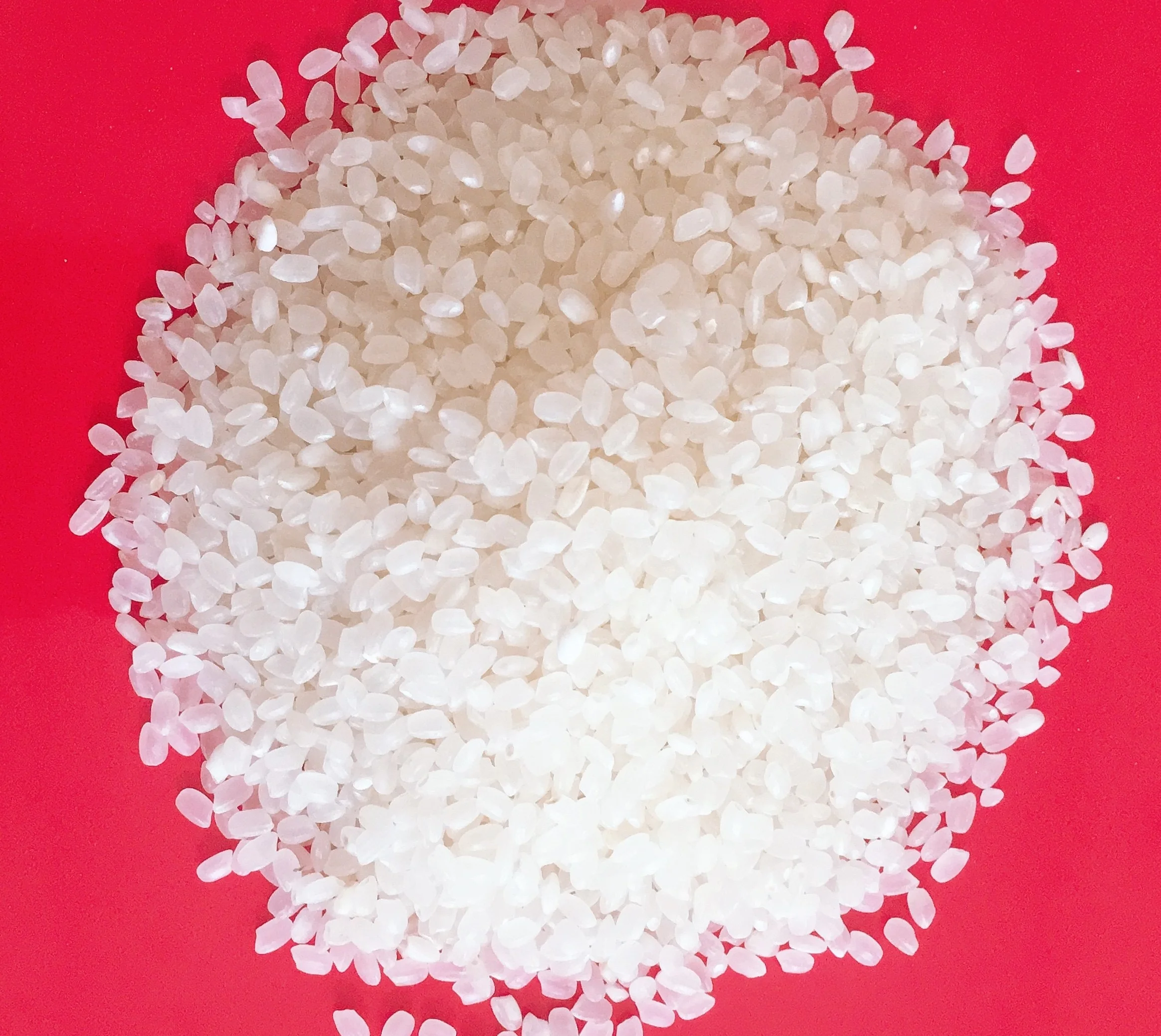 BEST PRICE 2021 PREMIUM VIETNAM JAPONICA RICE CELL: 84 901 390 588/ whatsApp
