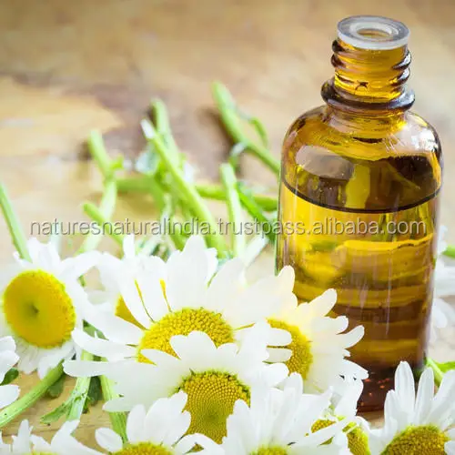 Chamomile German Blue Essential Oil