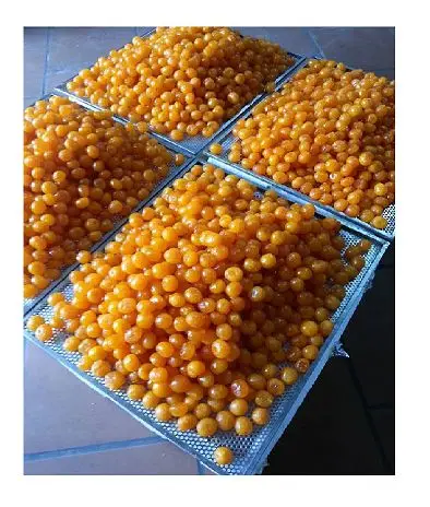 SALTED EGG YOLK WITH BEST PRICE FROM VIETNAM / Holiday 84 845 639 639