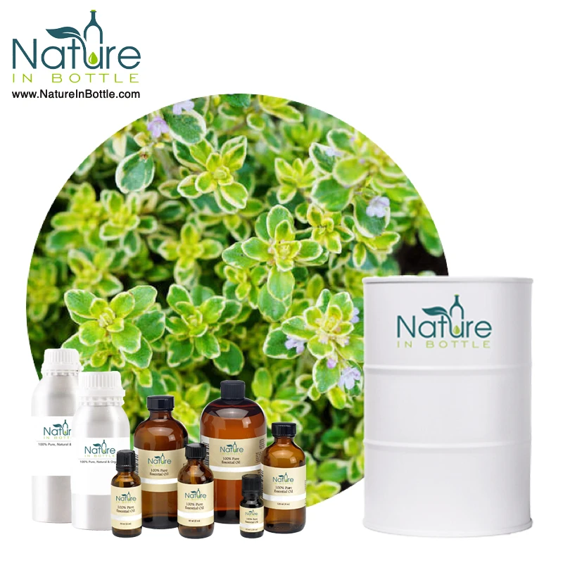 Lemon Thyme Essential Oil | Citrus Thyme Oil | Thymus citriodorus - Natural and Organic Essential Oils - Private Labelling