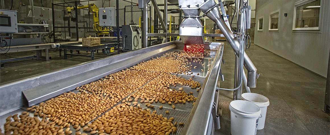 Cheap Price Wholesale Almond Nuts For Sale In bulk