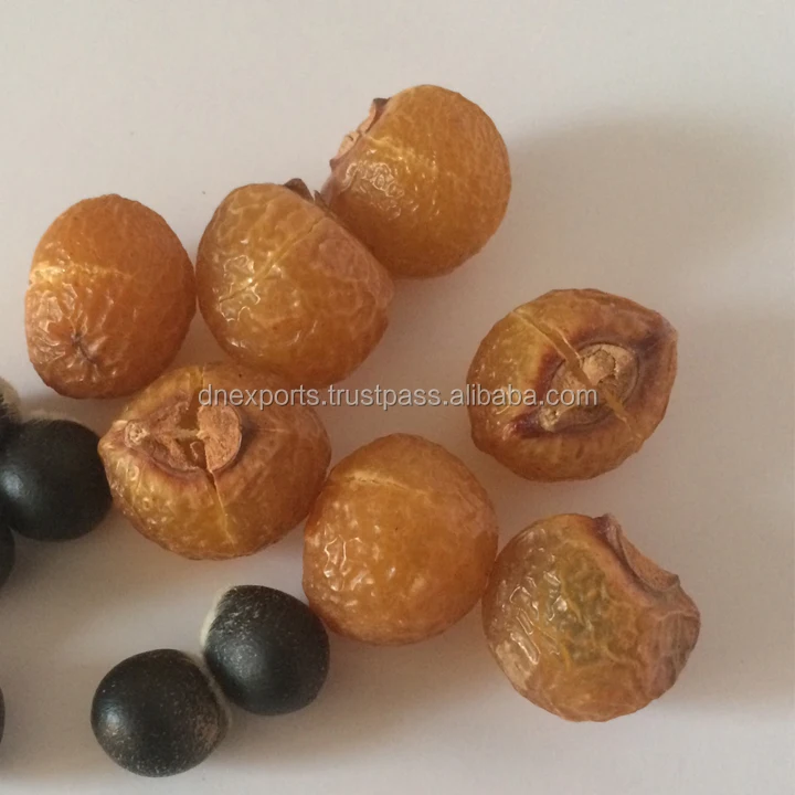 Organic Sapindus Mukorossi shells- Nepal origin Best quality Soap Nuts
