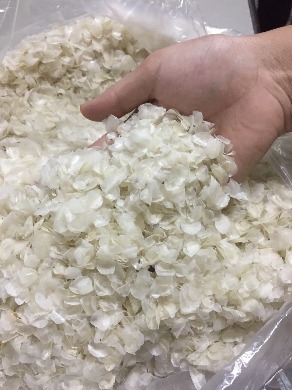 dried fish scale in bulk for collagen making origin Vietnam Hang Xanh Co., Ltd - CONTACT TO +84 911 695 402