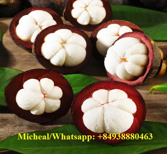 SUPER DELICIOUS FRESH MANGOSTEEN/BEST FOR IMPORTERS/Whatsapp: +84 845 639 639