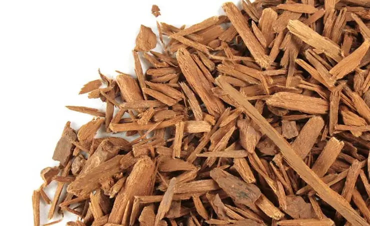 Pure yohimbine Bark Extract quebrachine Aphrodyne Yocon Yohimbe Pausinystalia yohimbe manufacturer from india