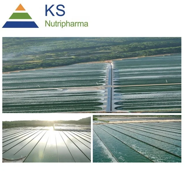 
Natural Organic Phycocyanin Blue Spirulina Extract Powder 