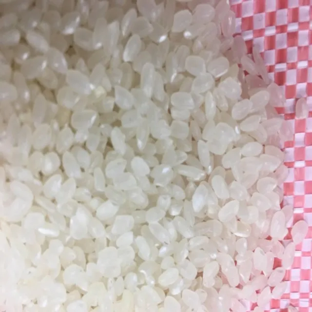 
5% BROKEN VIETNAM ROUND RICE WITH BEST MANUFACTURER 