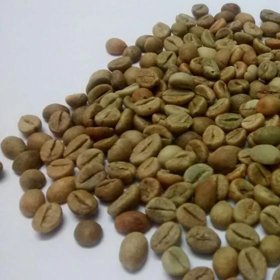 Продавец кофейных зерен ROBUSTA