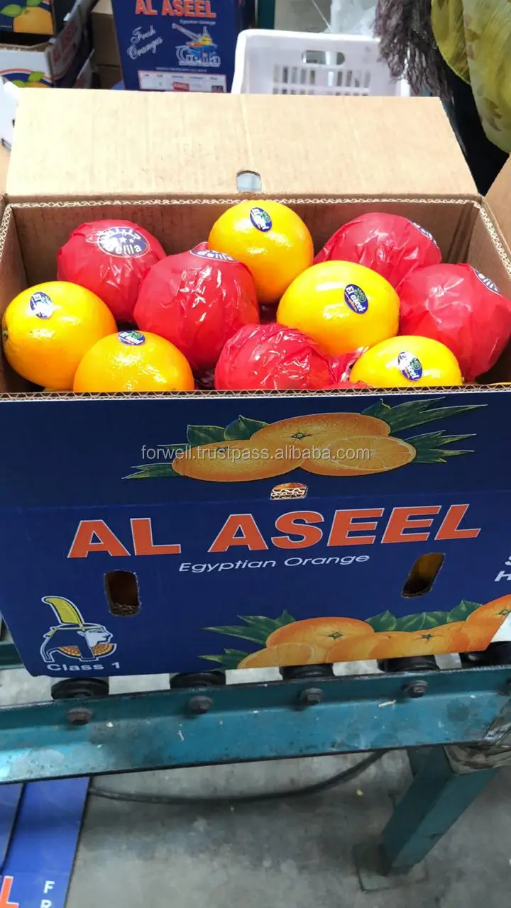 Egypt Navel oranges for Portugal
