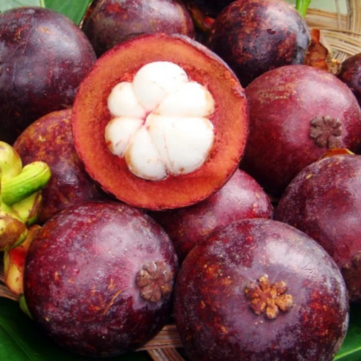 Оптовая продажа из мангостина для