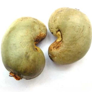  Высокопитательные сырые орехи кешью по разумной цене