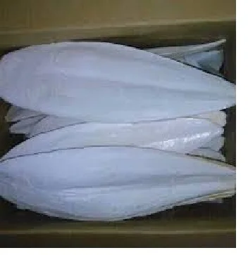 CUTTLEFISH BONE from VIET NAM with the best price/WHATSAPP 84845639639