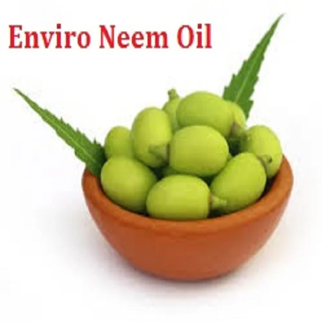 Neem Oil 36