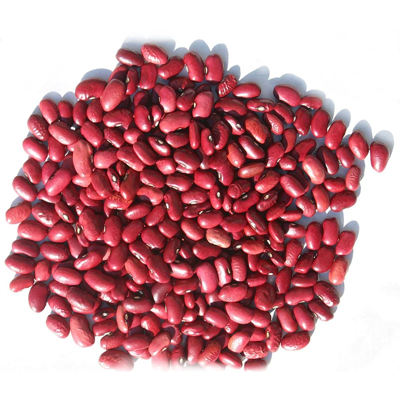
New Crop 2019 High Quality Dried Small Red Kidney Bean 