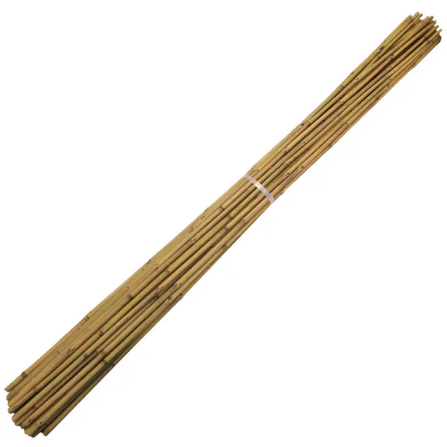 wholesale for Cheap Natural Dry Raw Bamboo Poles/Sticks/Canes