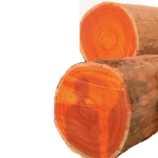 
Padouk log from vietnam 