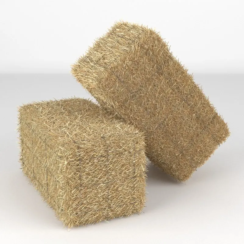 
Straw Bale 
