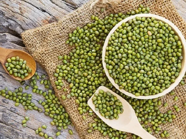 CHINESE MUNG BEAN/GREEN GRAM/whatsapp: +84 845 639 639