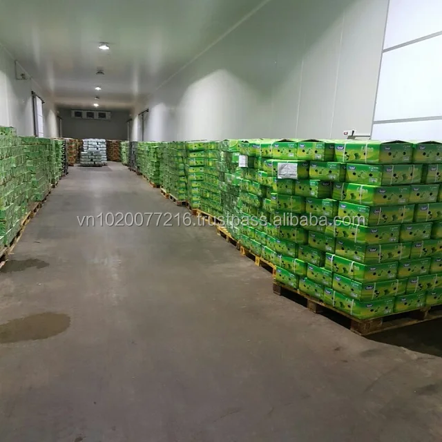 Green lemon/ Fresh lemon seedless/ fresh fuit hight quality