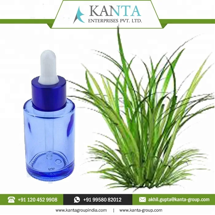 2024 Best Price Private Labeling India Supplier Vetiver Essential Oil at Cheap Rates Available