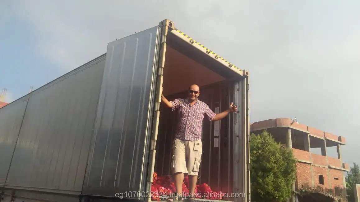 fresh red ONION , yellow onion , Egypt onion to Turkey