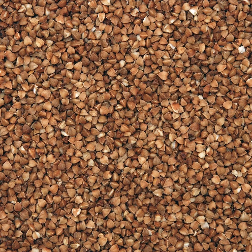 
Buckwheat Grain best price 