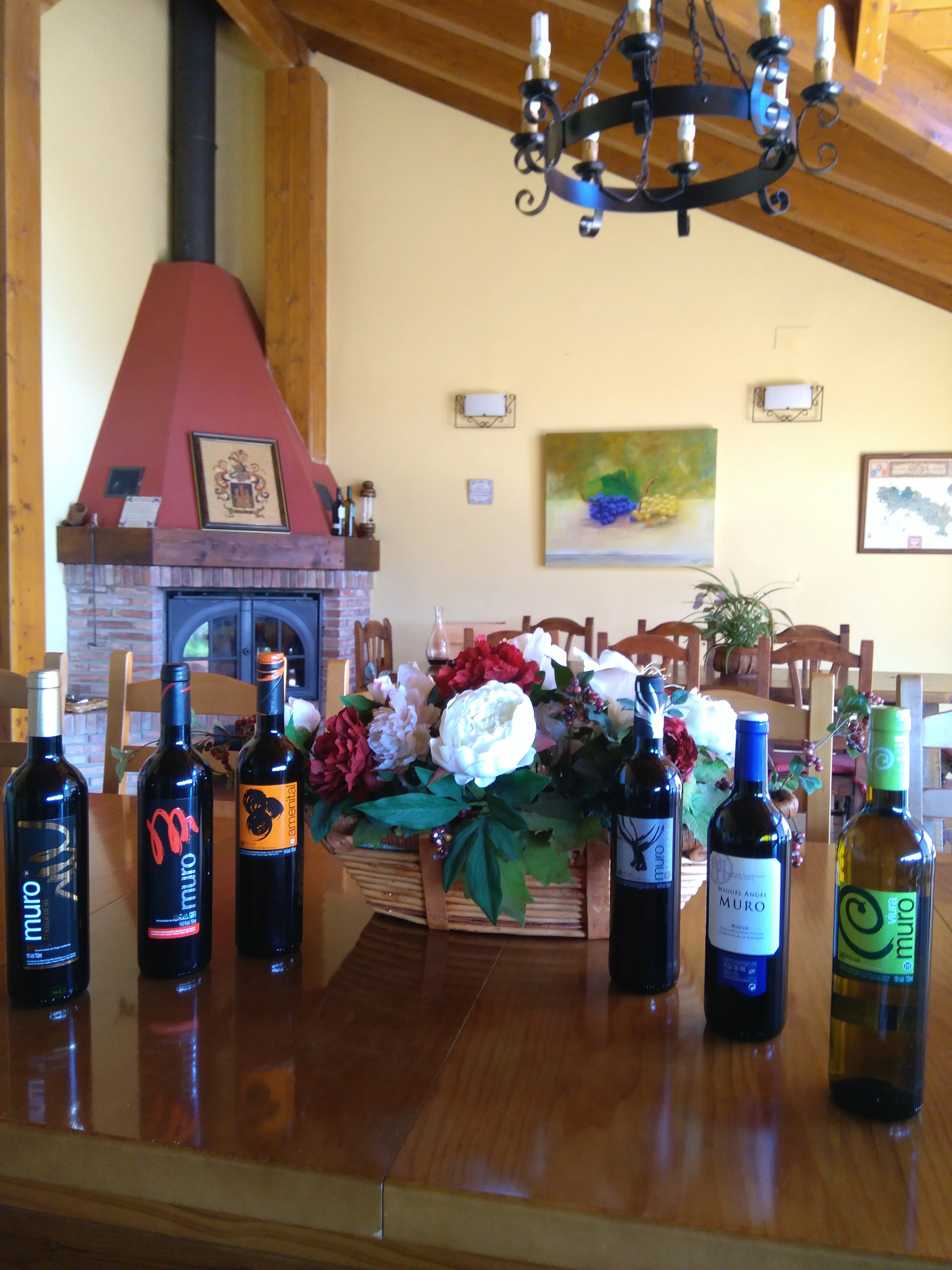 Spanish Doc Rioja Crianza hight quality wine Amenital