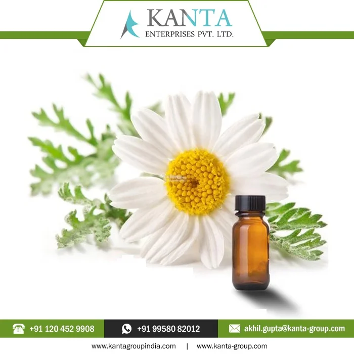100% Natural Chamomile Essential Blue Oil at Low Price