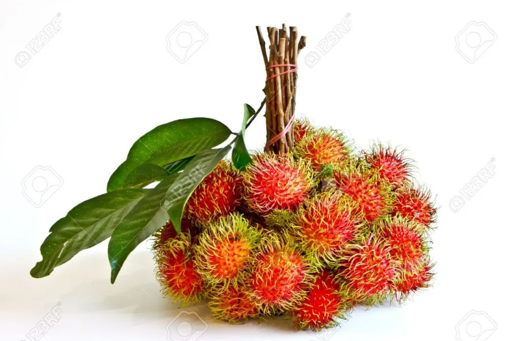 Vietnamese Rambutan / Fresh Rambutan