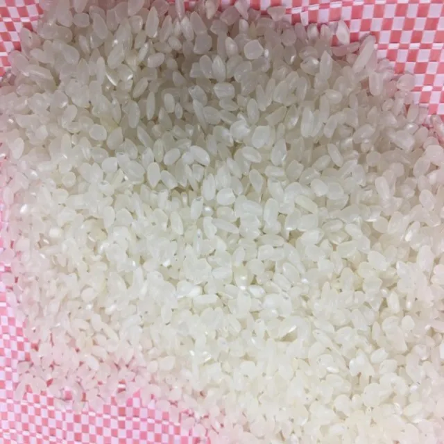 
5% BROKEN VIETNAM ROUND RICE WITH BEST MANUFACTURER 